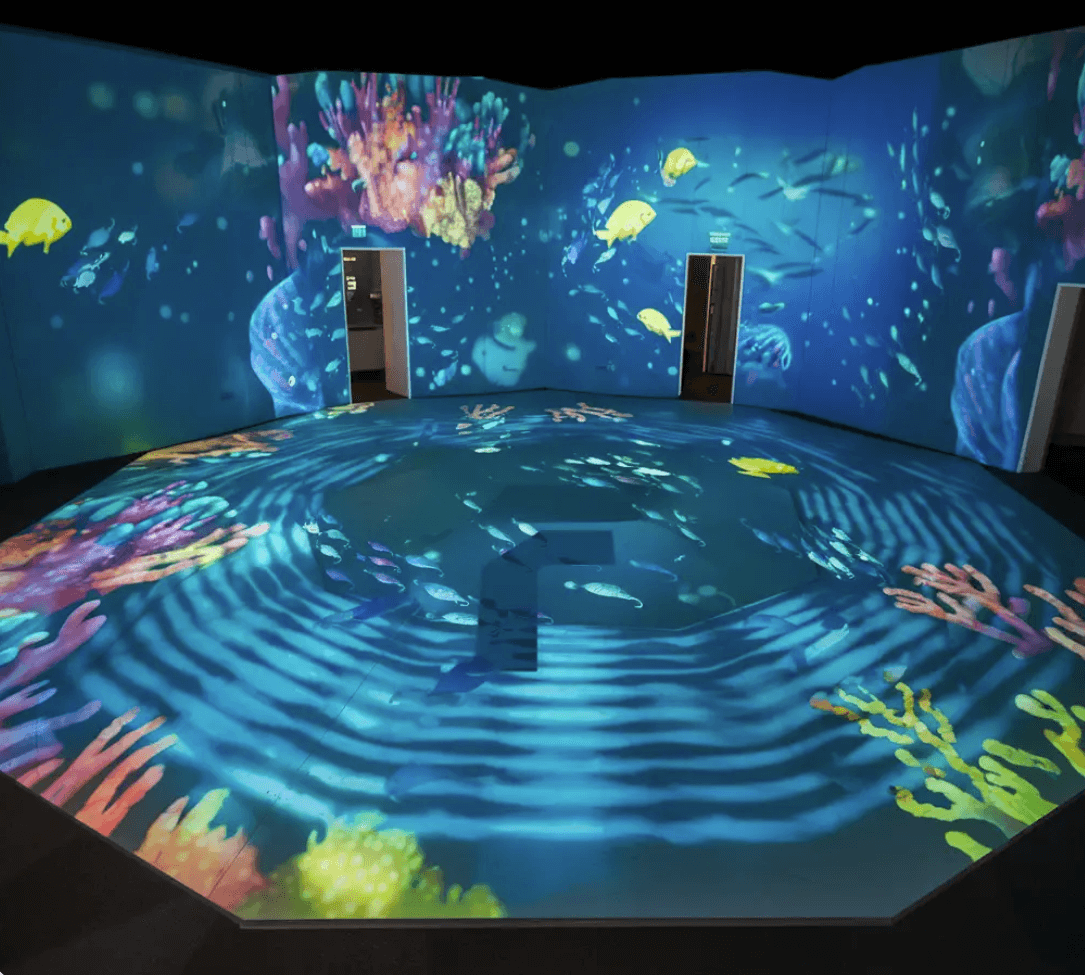Pərakəndə satışda inqilab edən EnvisionScreen-in LED Rolling Floor Display Dubai Mall Təcrübəsini Dəyişdirir (2)